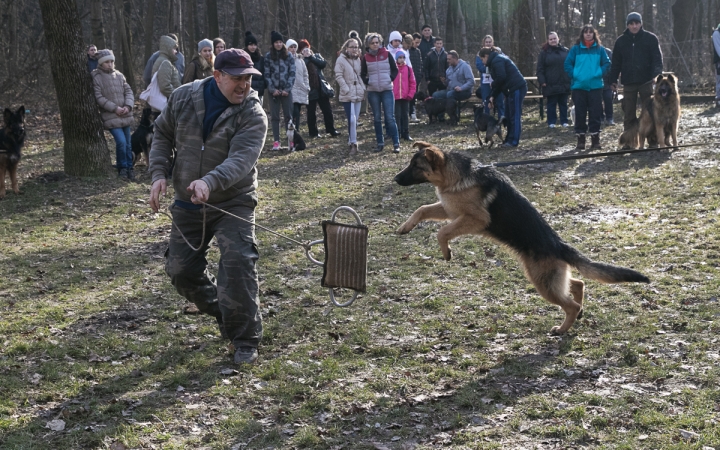 Nyílt nap a Duna Dog Center Kutyaiskolában - fotó: Ónodi Zoltán