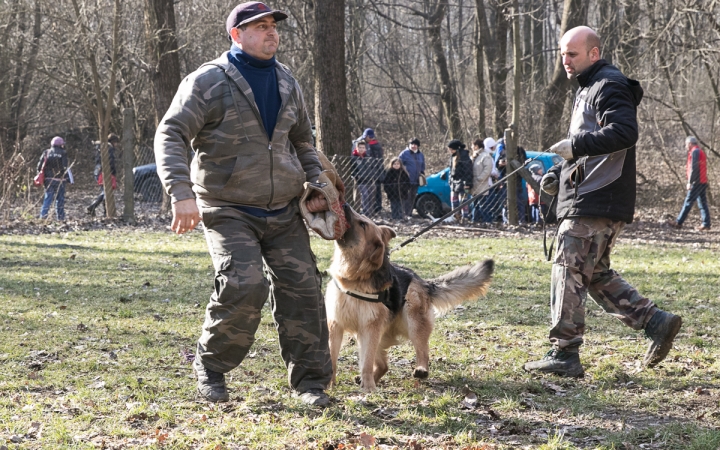 Nyílt nap a Duna Dog Center Kutyaiskolában - fotó: Ónodi Zoltán