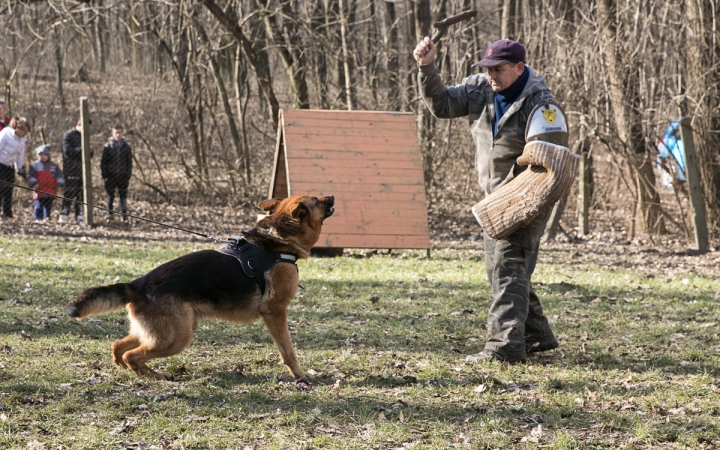 Nyílt nap a Duna Dog Center Kutyaiskolában - fotó: Ónodi Zoltán