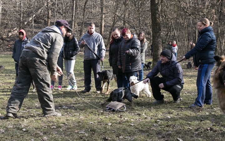 Nyílt nap a Duna Dog Center Kutyaiskolában - fotó: Ónodi Zoltán