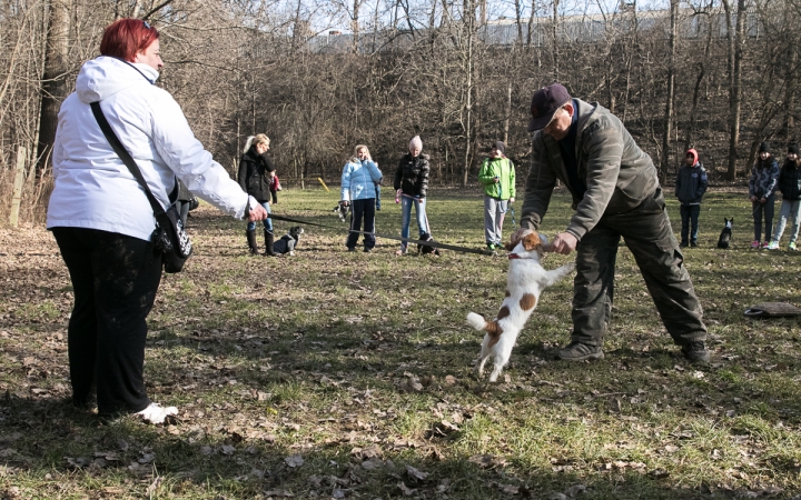 Nyílt nap a Duna Dog Center Kutyaiskolában - fotó: Ónodi Zoltán