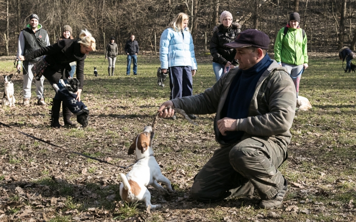 Nyílt nap a Duna Dog Center Kutyaiskolában - fotó: Ónodi Zoltán