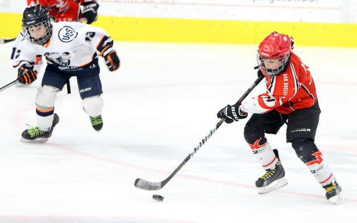 III. Steel Bulls Cup U11 - fotó: Sándor Judit