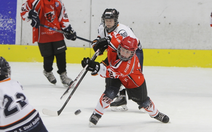 III. Steel Bulls Cup U11 - fotó: Sándor Judit