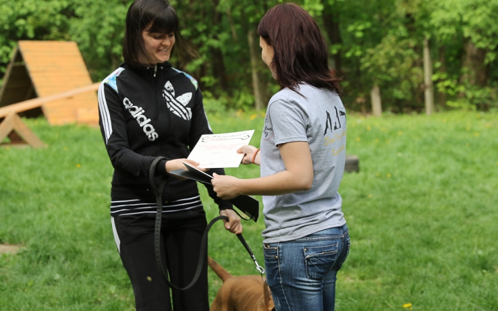 II. Születésnap a Duna Dog Center Kutyaiskolában - fotó: Ónodi Zoltán