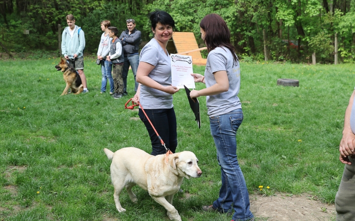 II. Születésnap a Duna Dog Center Kutyaiskolában - fotó: Ónodi Zoltán