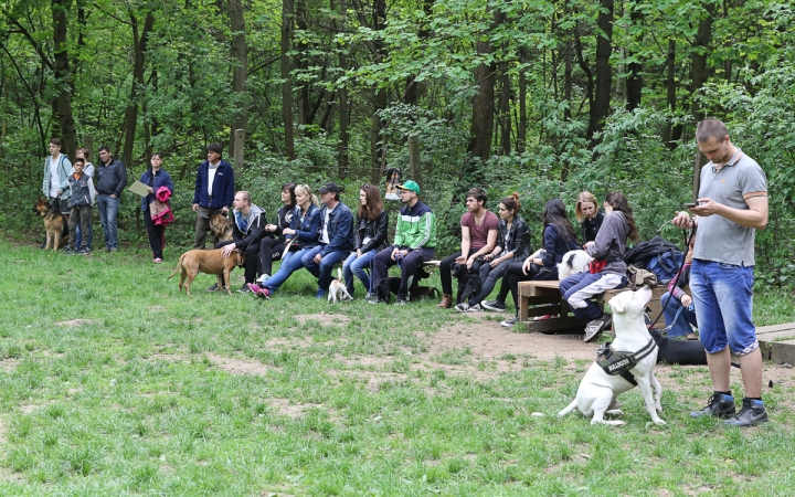 II. Születésnap a Duna Dog Center Kutyaiskolában - fotó: Ónodi Zoltán