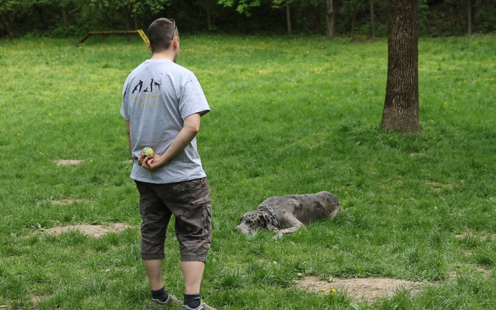 II. Születésnap a Duna Dog Center Kutyaiskolában - fotó: Ónodi Zoltán