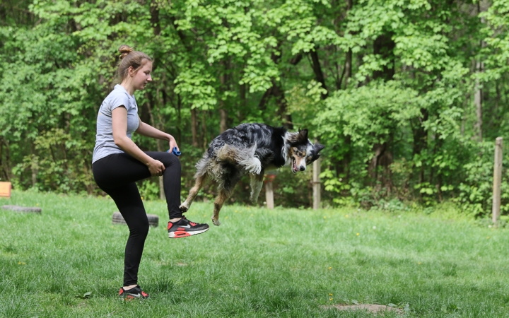 II. Születésnap a Duna Dog Center Kutyaiskolában - fotó: Ónodi Zoltán