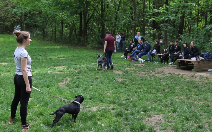 II. Születésnap a Duna Dog Center Kutyaiskolában - fotó: Ónodi Zoltán