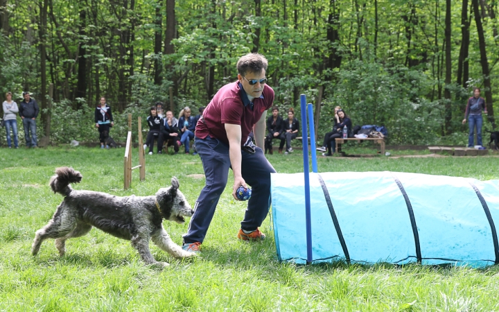 II. Születésnap a Duna Dog Center Kutyaiskolában - fotó: Ónodi Zoltán