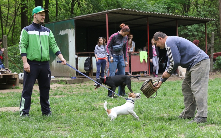 II. Születésnap a Duna Dog Center Kutyaiskolában - fotó: Ónodi Zoltán