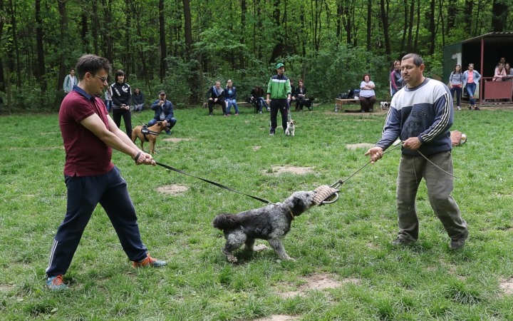 II. Születésnap a Duna Dog Center Kutyaiskolában - fotó: Ónodi Zoltán