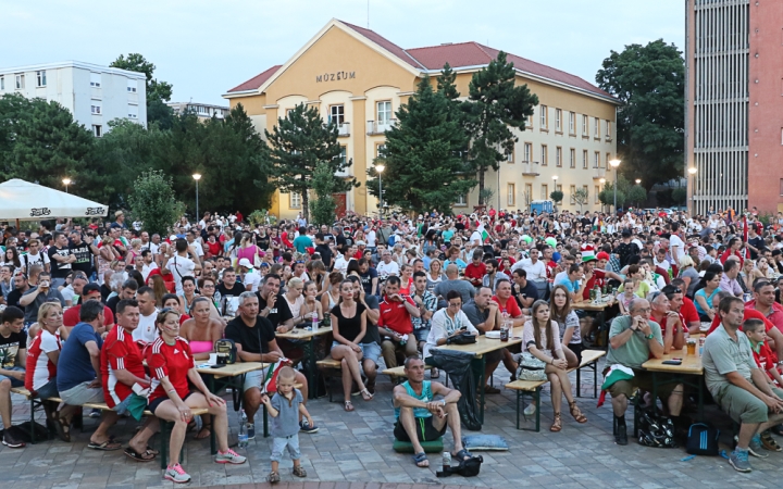 Így szurkoltunk mi a Magyar válogatottnak! 2016 - fotó: 