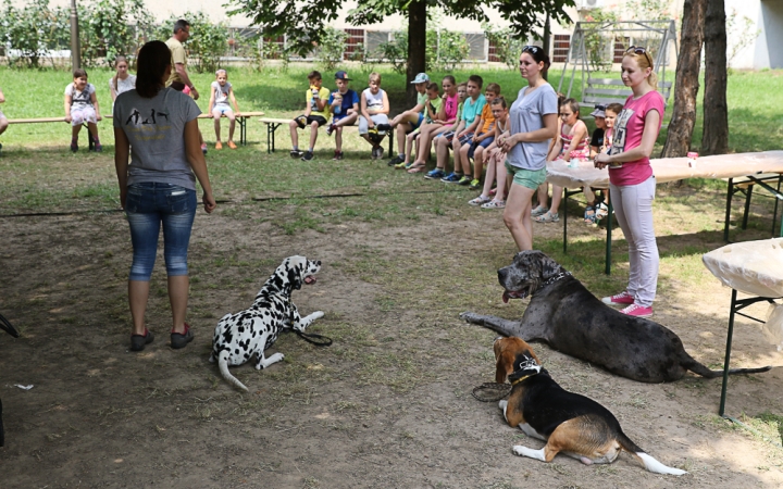 Így táboroznak az MMK-ban - fotó: Ónodi Zoltán