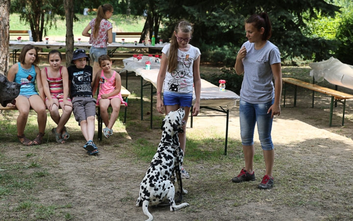 Így táboroznak az MMK-ban - fotó: Ónodi Zoltán