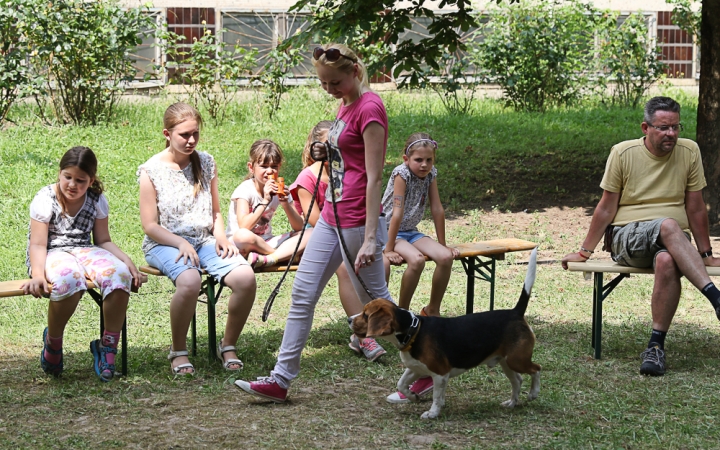 Így táboroznak az MMK-ban - fotó: Ónodi Zoltán