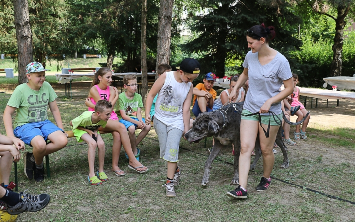 Így táboroznak az MMK-ban - fotó: Ónodi Zoltán