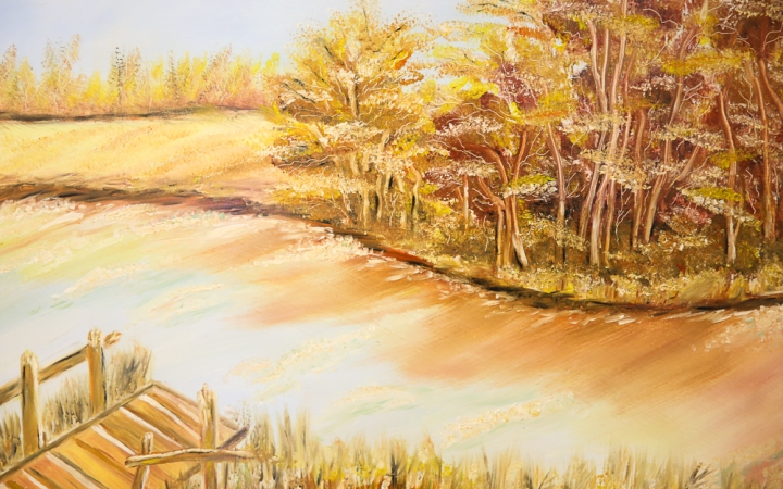 MMK Galéria: Balogh Józsefné Erzsike kiállítása - fotó: Ónodi Zoltán