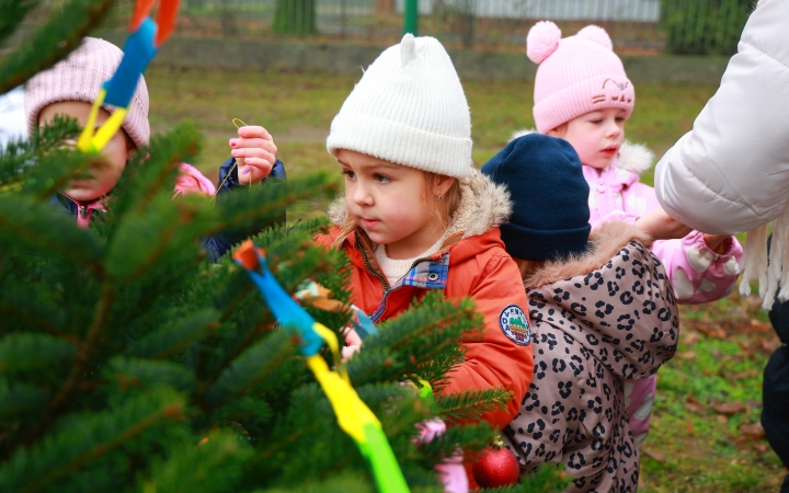 Karácsonyfákkal készülnek a körzetben