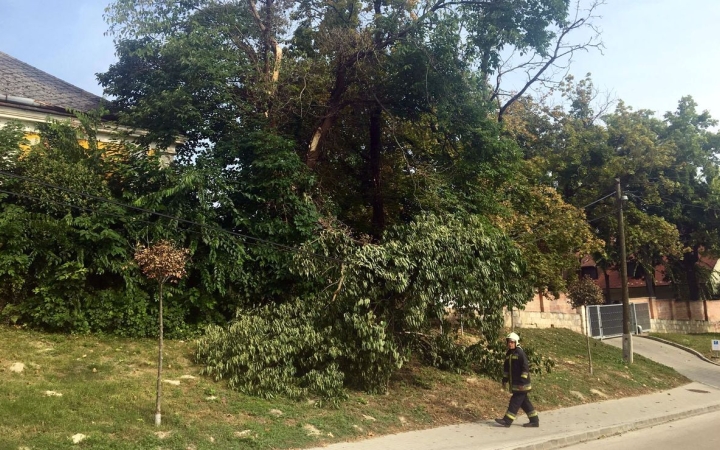 Légkábelre szakadt a faág Rácalmáson