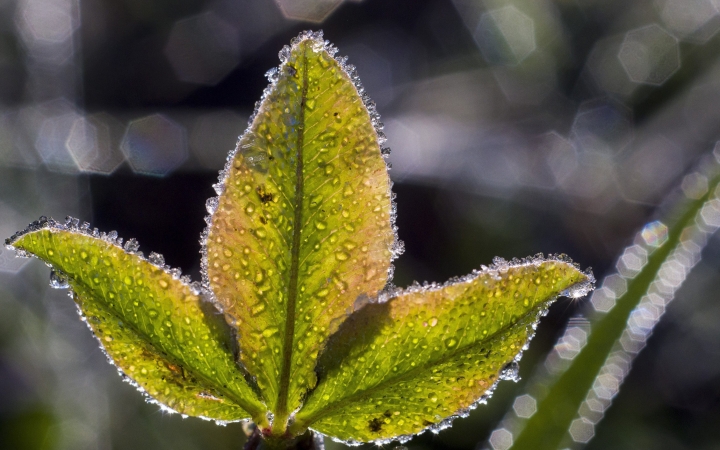 Mínuszok is lehetnek a hétvégén
