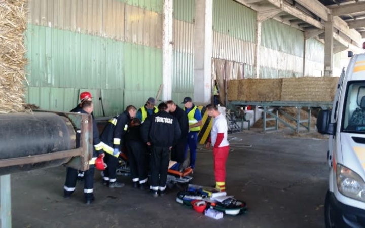 Sikeres újraélesztés a Papírgyárban