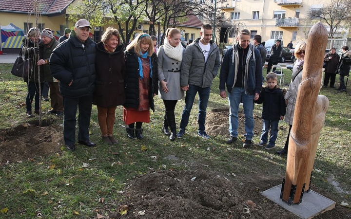 Anna néni ajándéka