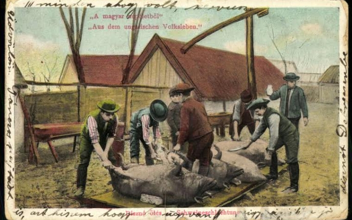 Az egyik „disznóölő”