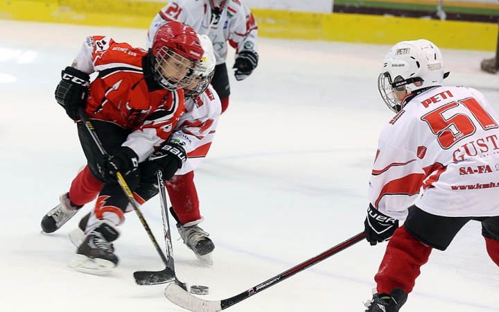 Cseh öröm a jégcsarnokban