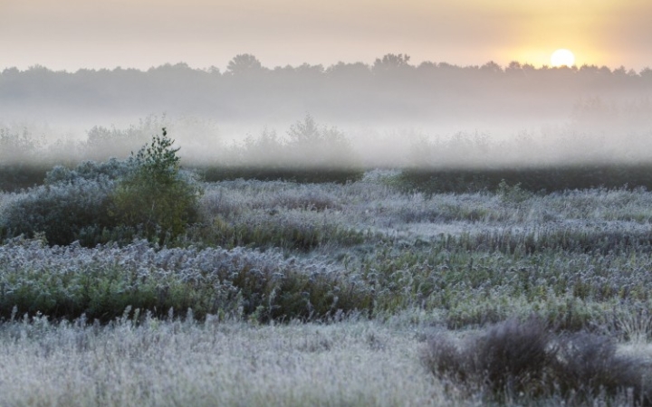 Újra jönnek a kemény hajnali fagyok