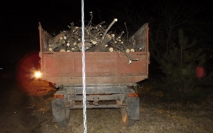 Fatolvajok rendőrkézen