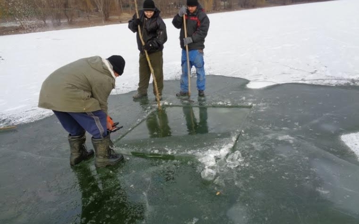 Mentik az élővilágot