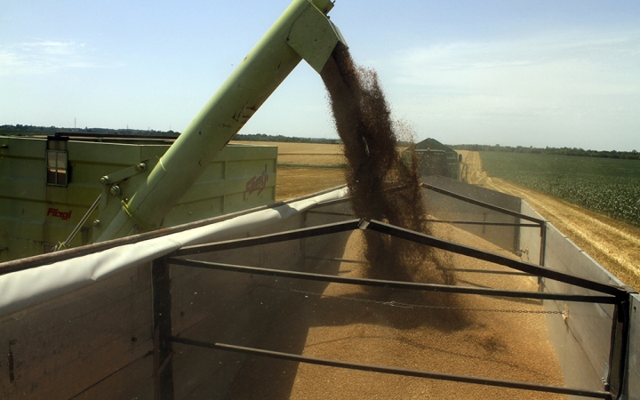 Idén kevesebb lesz a gabona