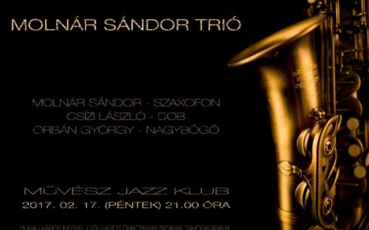 Egyszeri jazz a Molnár Sándor Trióval
