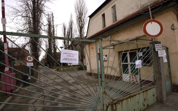 Kanyaró - Nincs járványveszély az országban