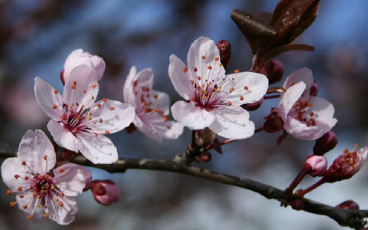 A nap legfontosabb eseményei - D+ TV Híradó