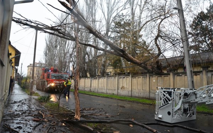 Félmilliárd kárt hagyott az áprilisi tél?