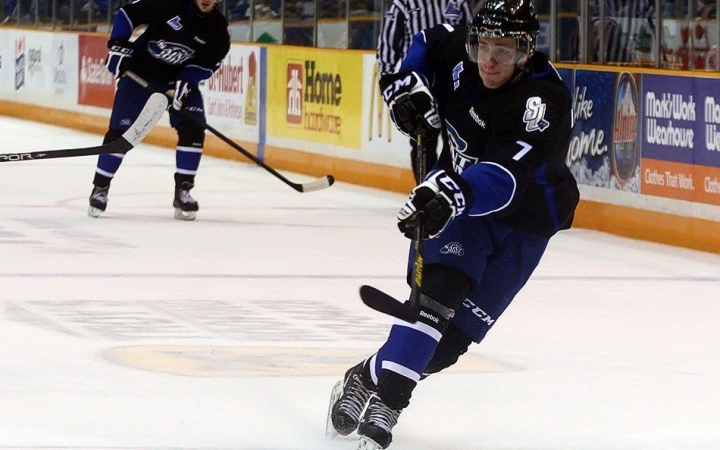 Fiatal cseh csatár az Acélbikáknál