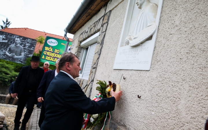 Festői születésnap