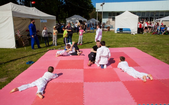 Focitól a kézilabdáig, hegedűtől a gitárig