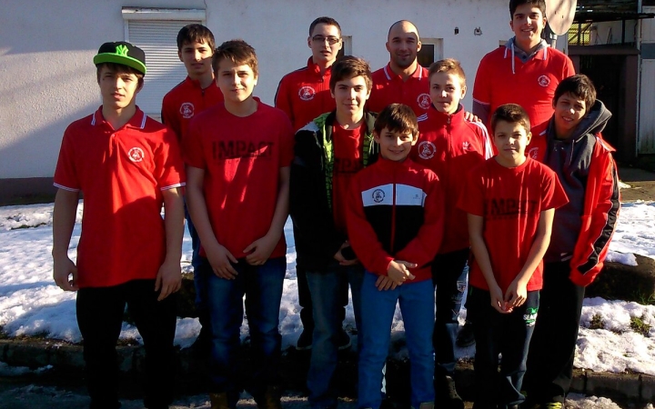 Birkózás: csapatbajnoki szereplések