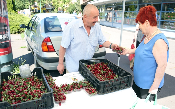 Meggyosztás a városban