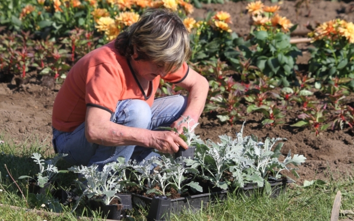 Marad a tavaszias időjárás