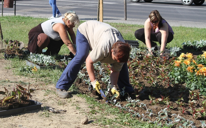 Virágba borítjuk a várost idén is?