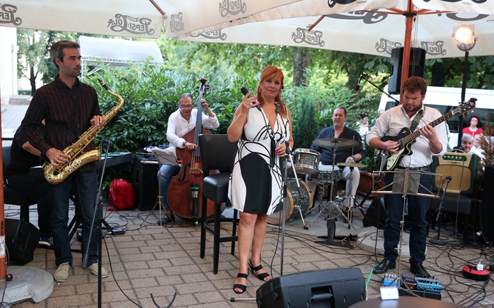 Nézőcsúcs a Művész teraszán