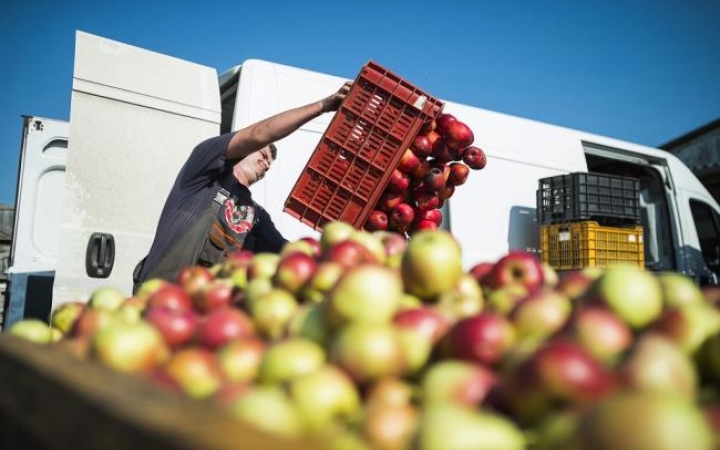 A nap legfontosabb eseményei - D+ TV Híradó