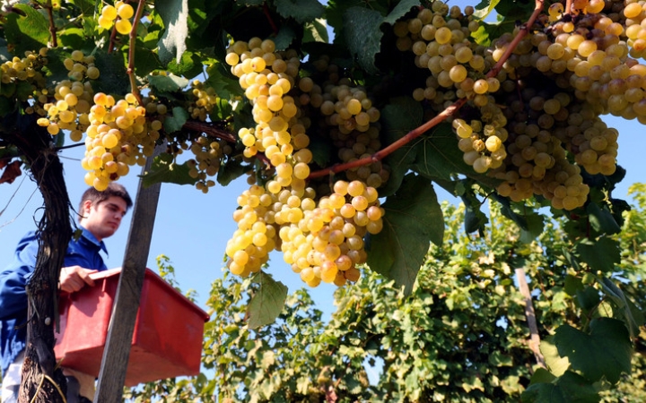 Milyen lesz idén a hegy leve?