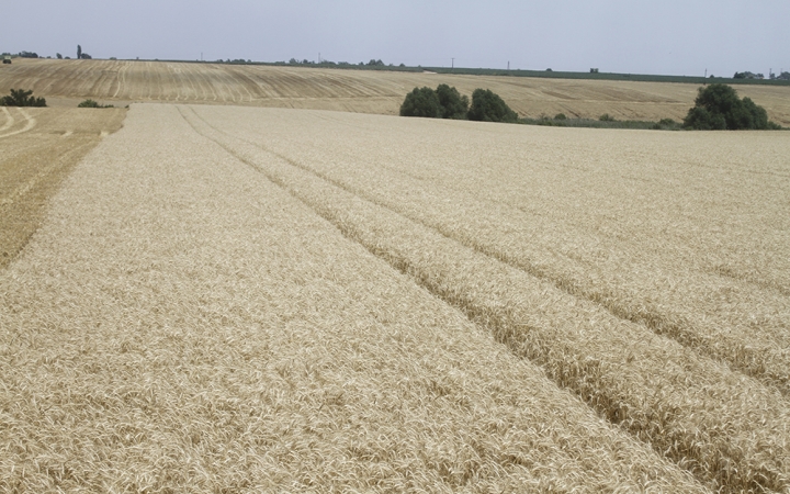 A nap legfontosabb eseményei - D+ TV Híradó