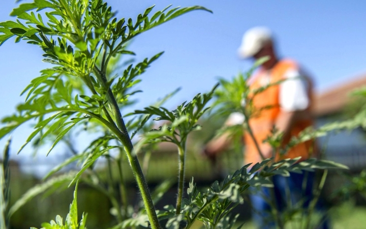 A nap legfontosabb eseményei - D+ TV Híradó